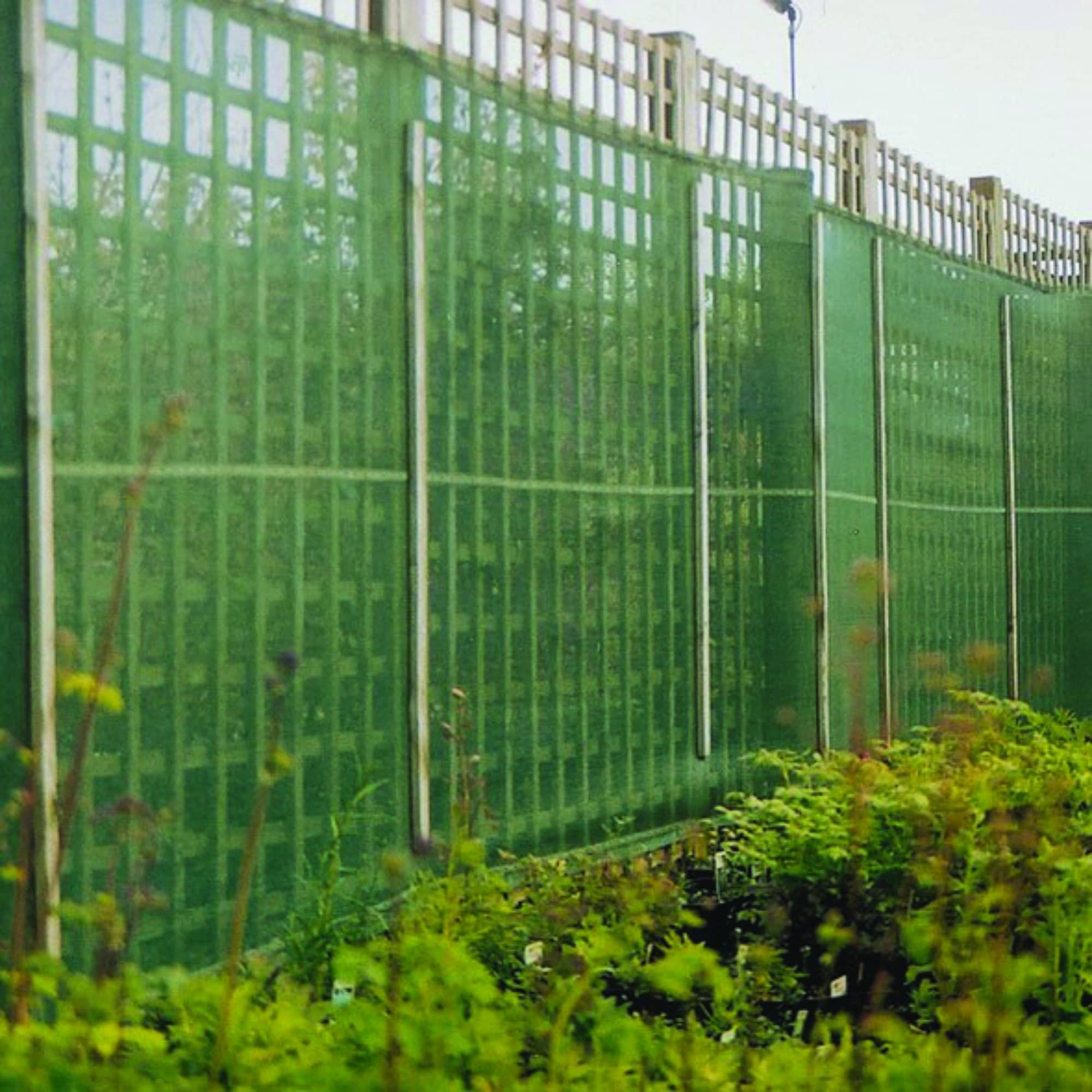 Agricultural Windbreaks